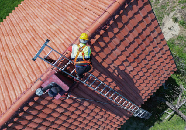 Best Roof Ventilation Installation  in Pahoa, HI